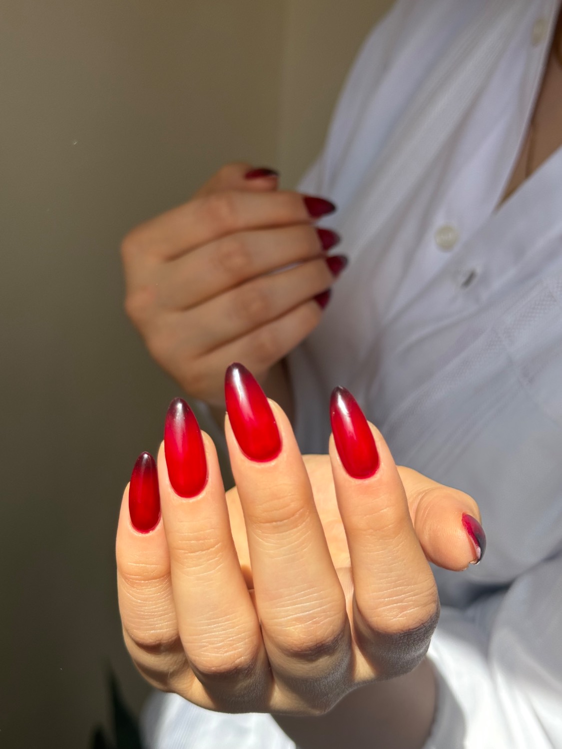 نمونه کار 1 آریشگاه آلمیلا